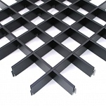  Cesal   5050 