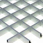  Cesal   100100 